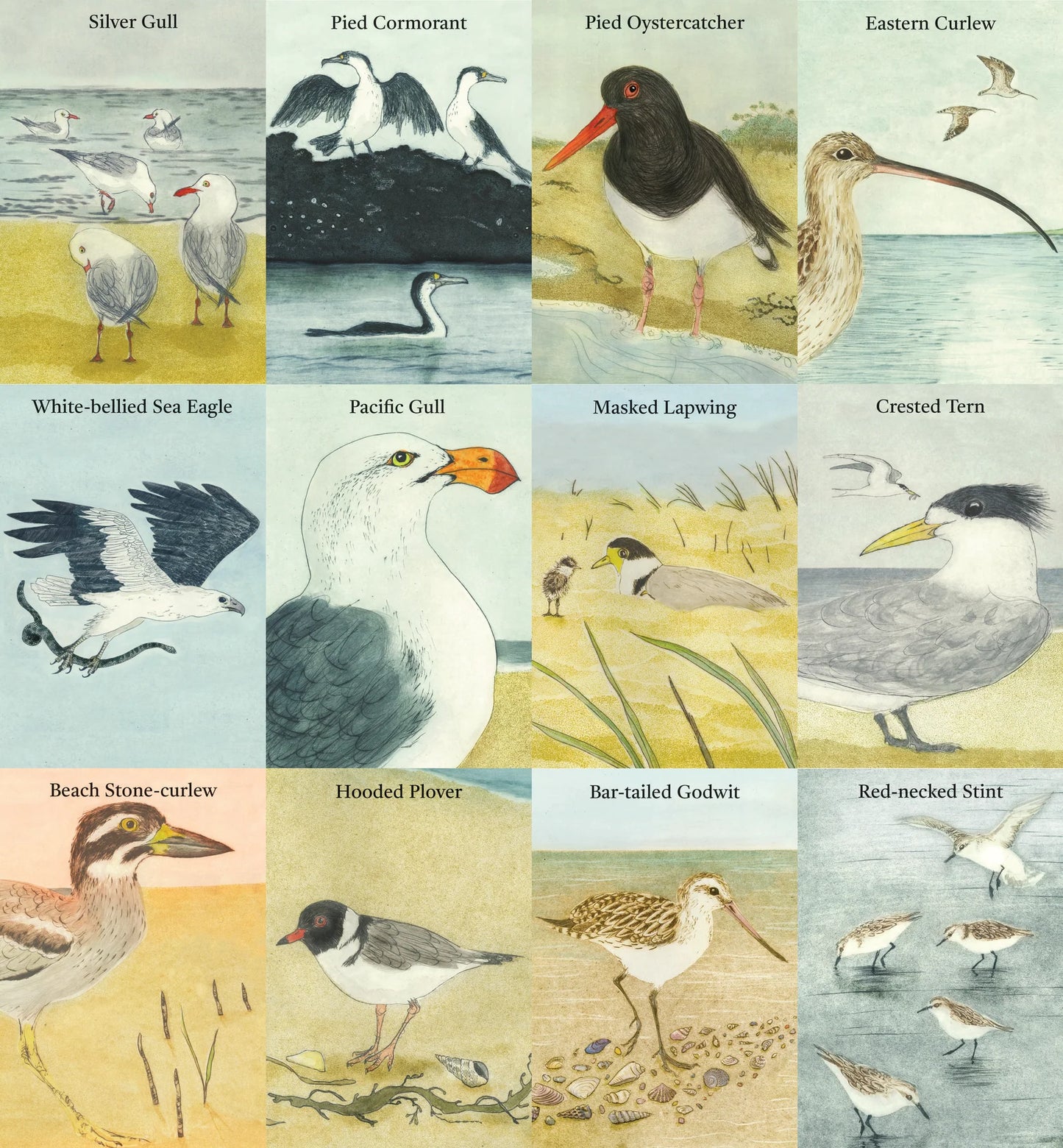 Bridget Farmer Beach Birds Card Game