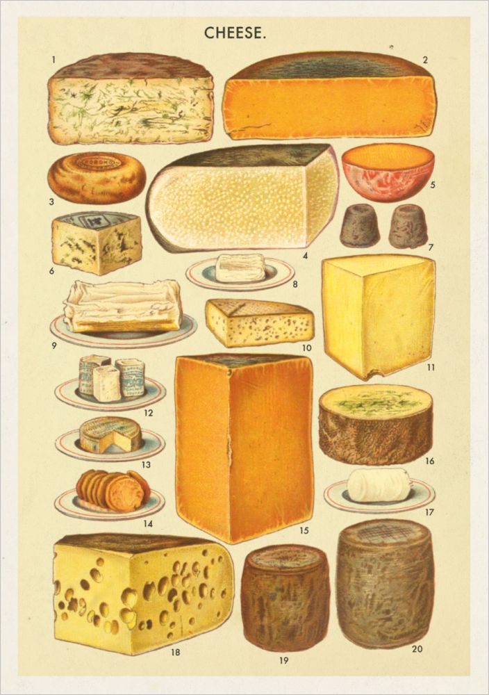 Cheese Greeting Card