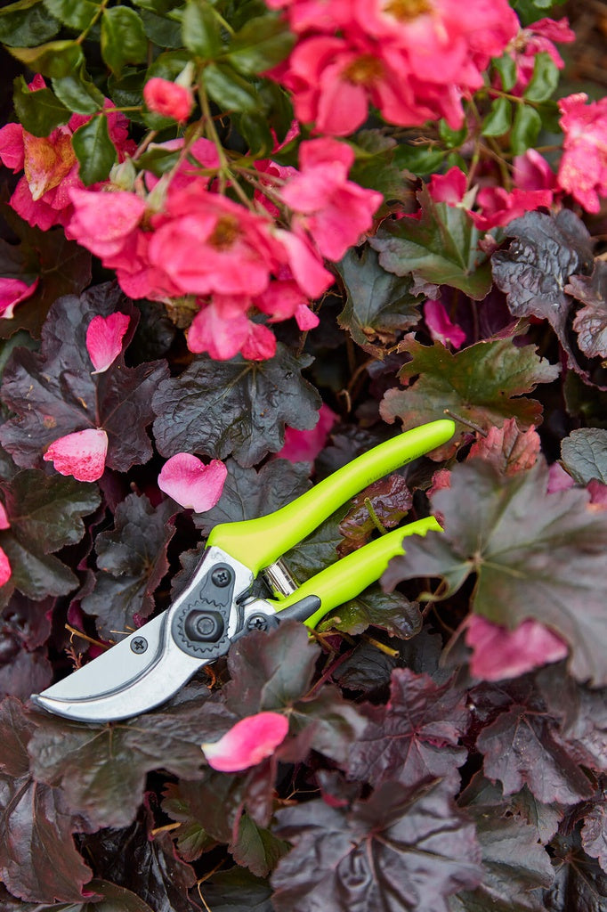 Burgon & Ball Florabrite Bypass Secateurs