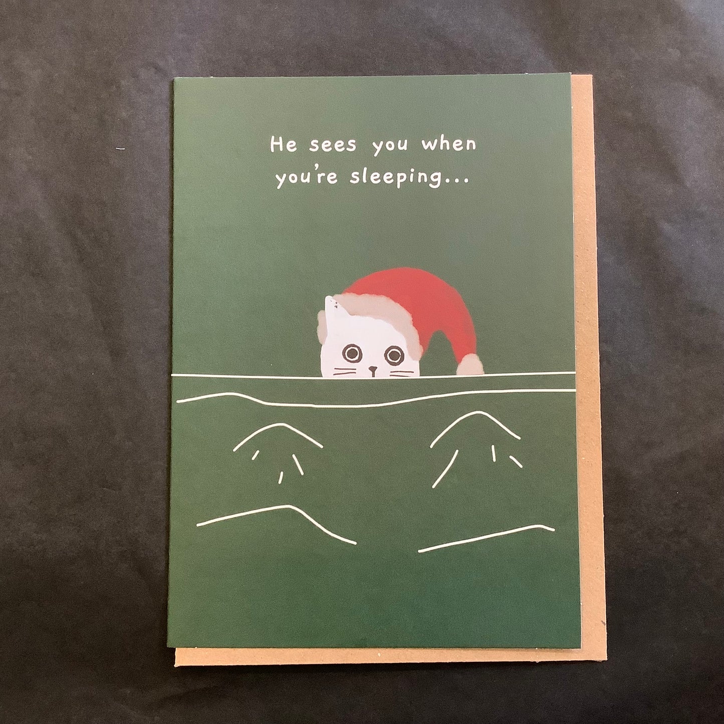 Ken The Cat He Sees You When You're Sleeping