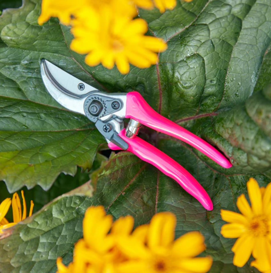 Burgon & Ball Florabrite Bypass Secateurs