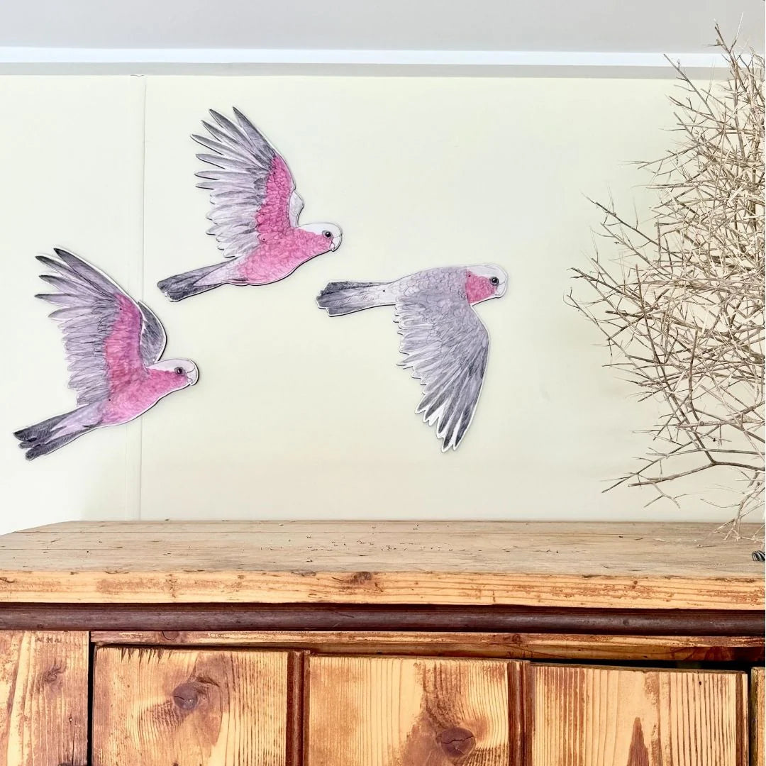Bridget Farmer Australian Aviary Galahs Wall Hanging Set of 3