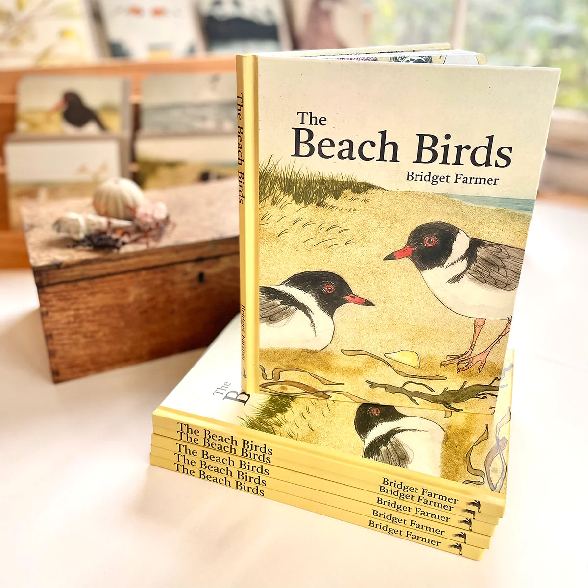 Bridget Farmer The Beach Birds Book