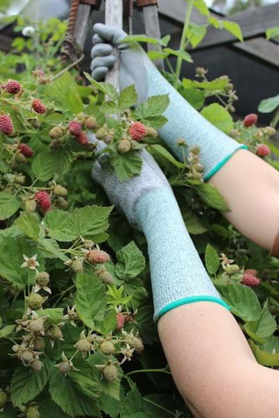 Glass Fibre Long Gardening Gloves