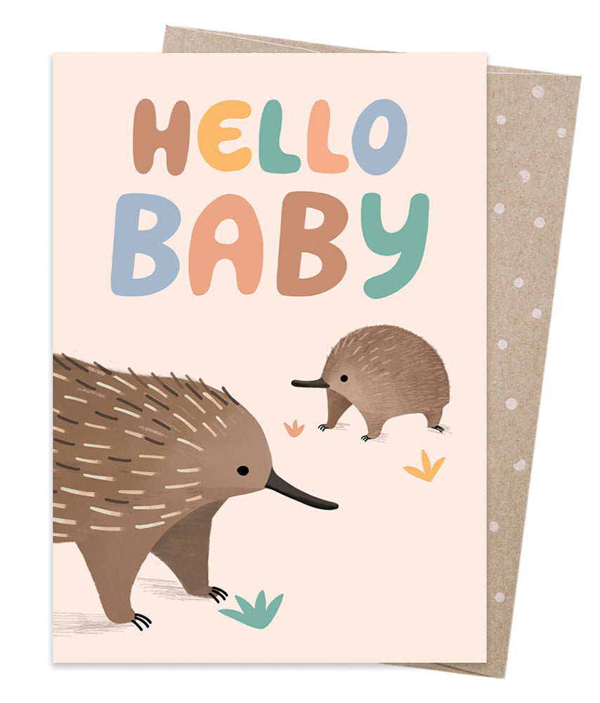 Earth Greetings Sally Allen Hello Baby Echidna