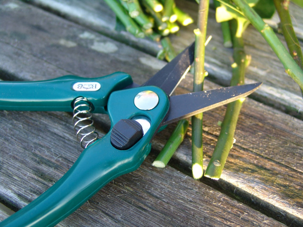 Burgon & Ball RHS Florists' Shear