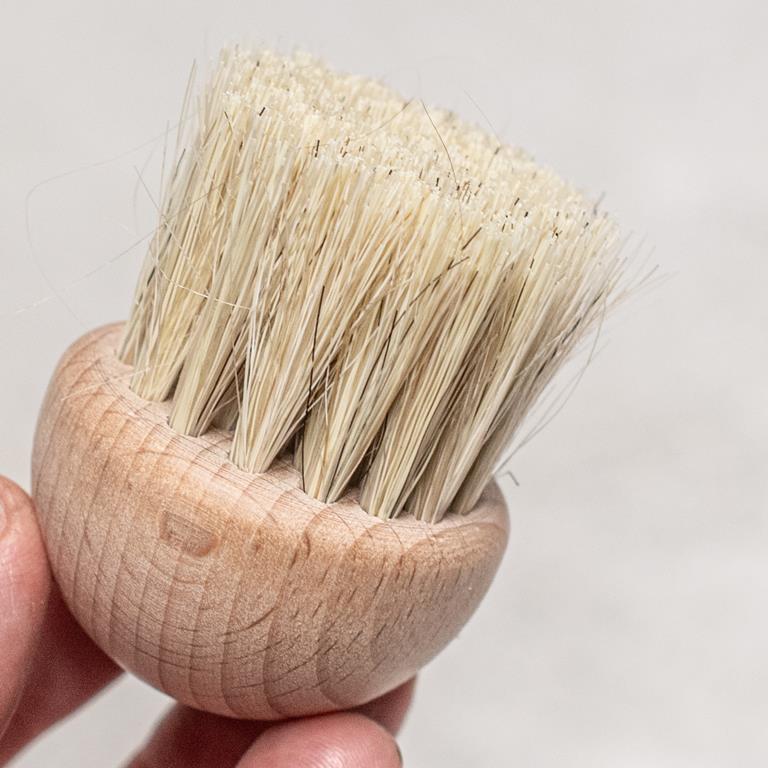 Beechwood Timber Mushroom Brush