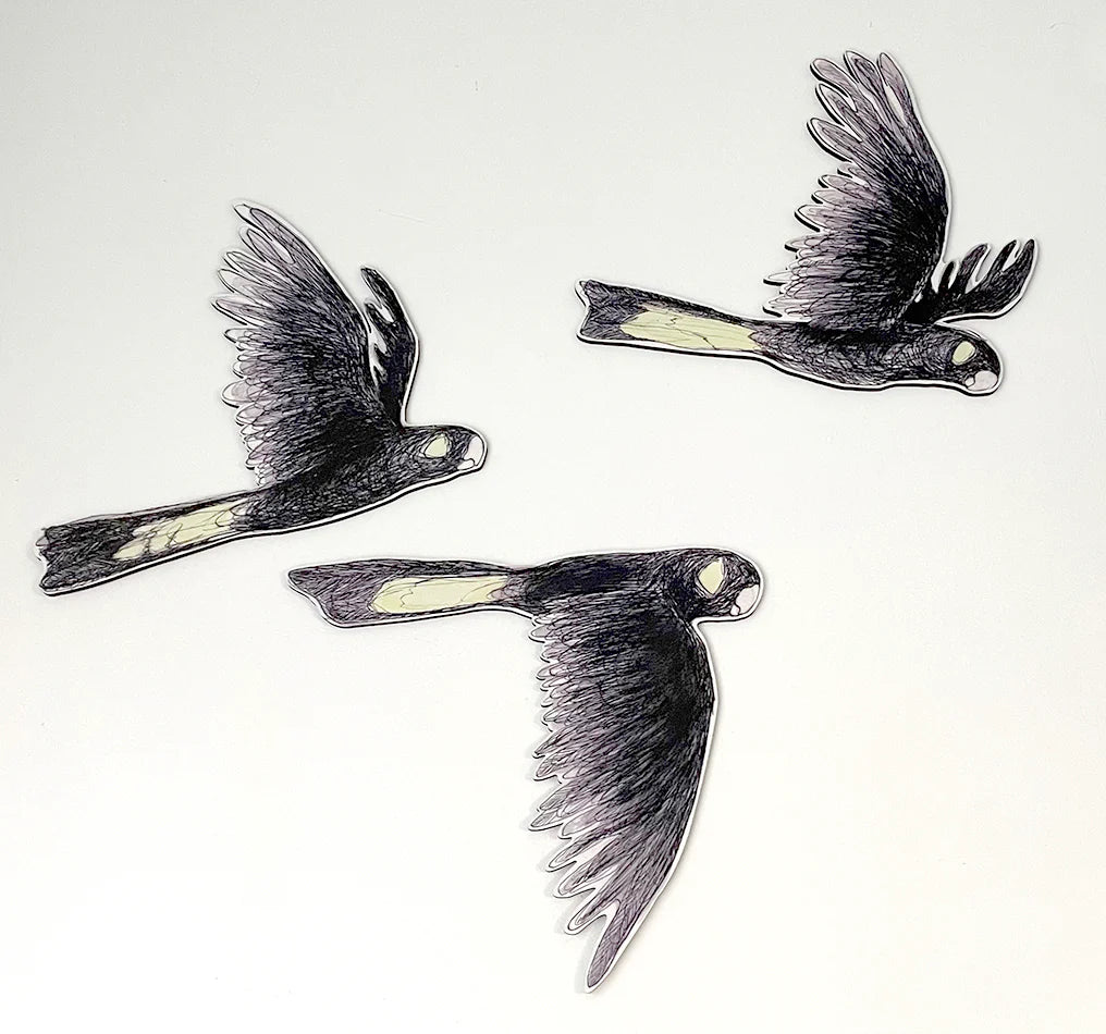Bridget Farmer Australian Aviary Yellow-Tailed Black Cockatoos Wall Hanging Set of 3