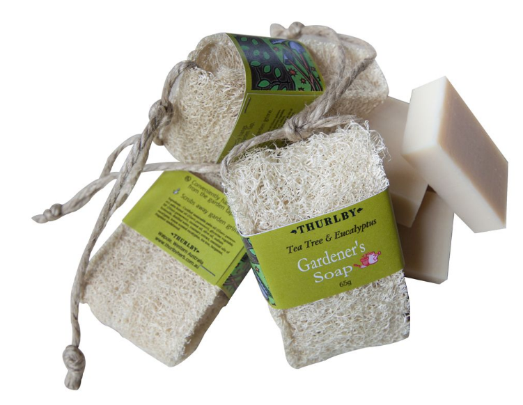 Gardeners Teatree & Eucalyptus Loofah Soap