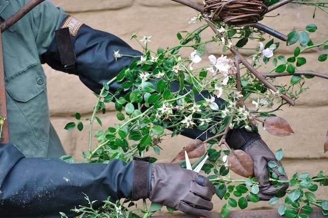 Durapel Gardening Arm Guards