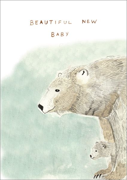 Beautiful Baby Polar Bear Greeting Card