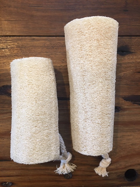 Whole Loofah Sponge
