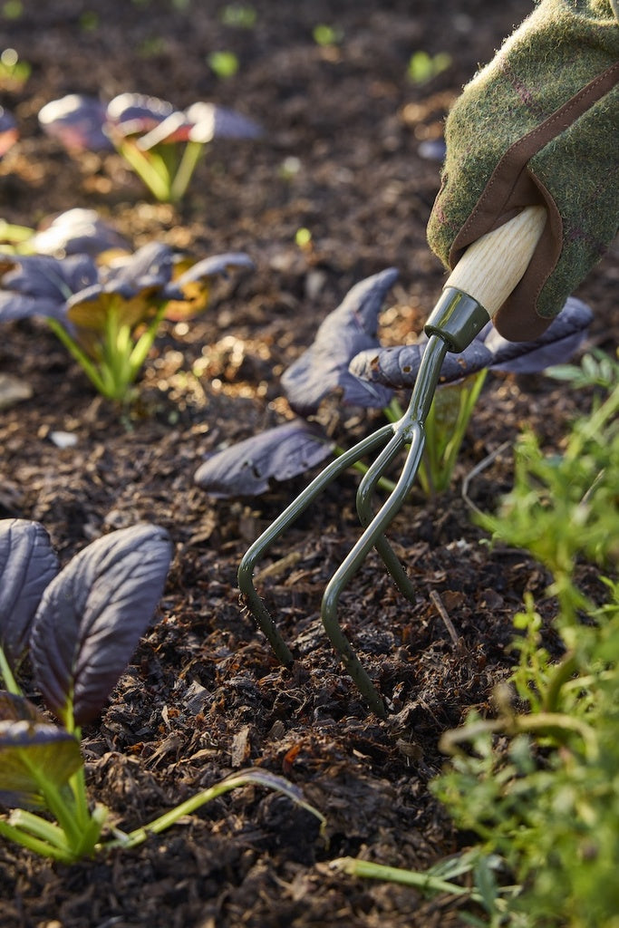 Burgon & Ball Boron Green Claw Cultivator Garden Tool