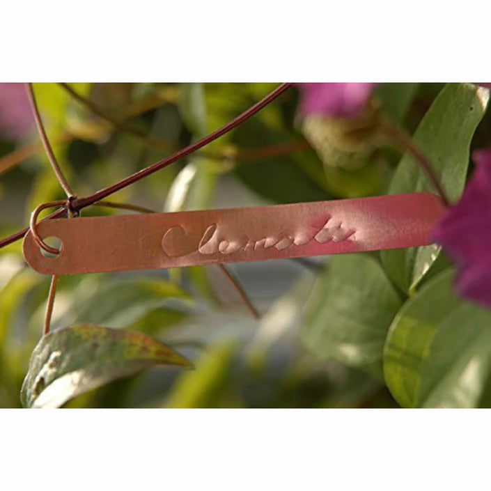 Burgon & Ball Copper Plant Tags