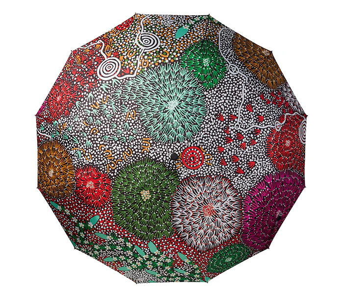 Warlukurlangu Artists Folding Umbrella