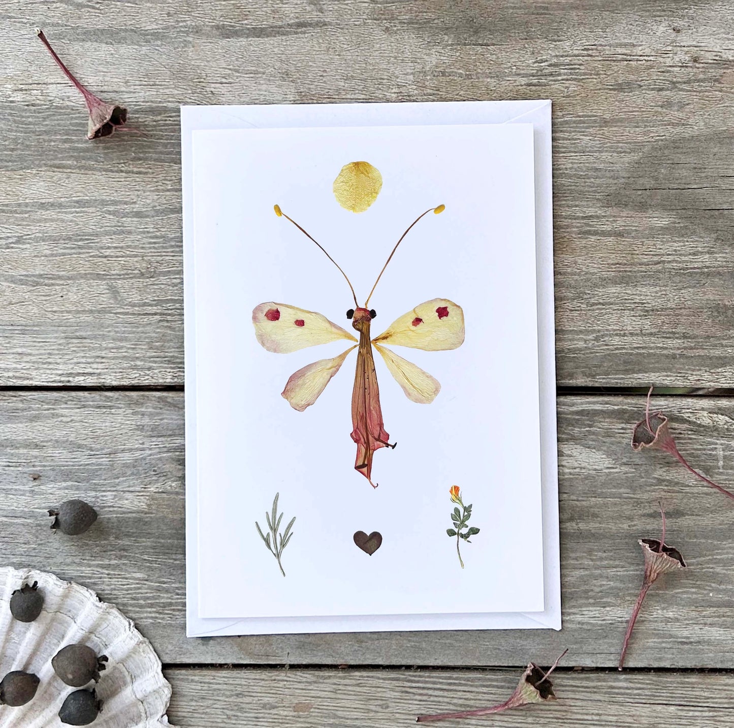 Wild Finch Studio Clementine Botanical Greeting Card