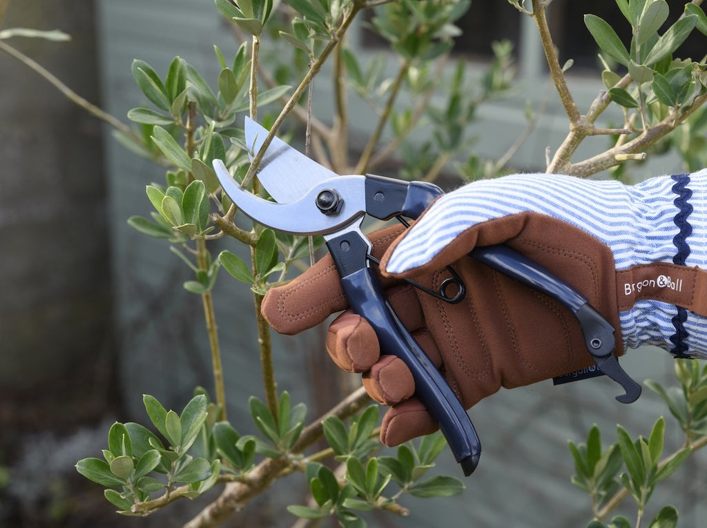 Burgon & Ball Collector Series Bypass Secateurs