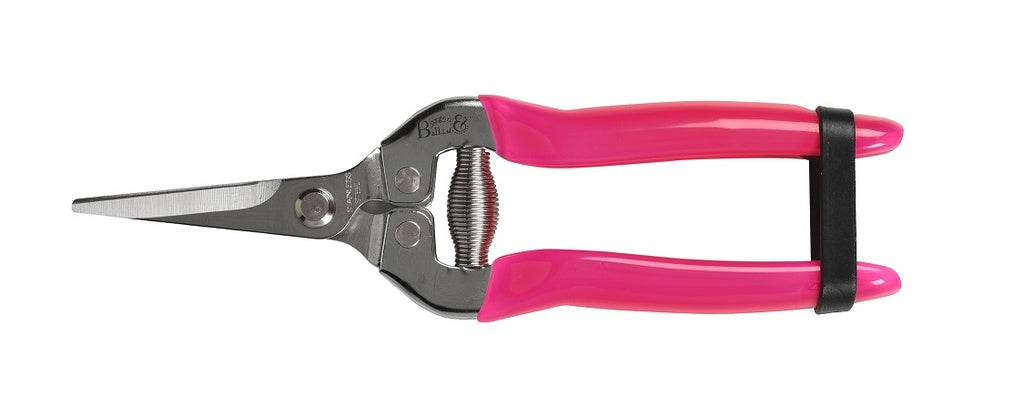 Burgon & Ball Fruit and Flower Fluoro Snips