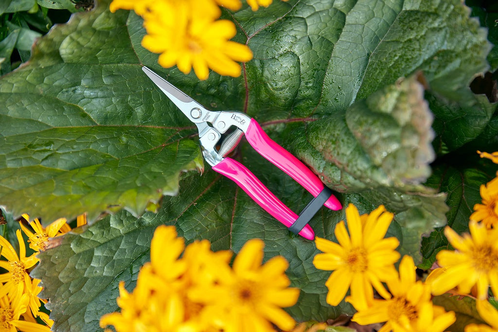 Burgon & Ball Fruit and Flower Fluoro Snips