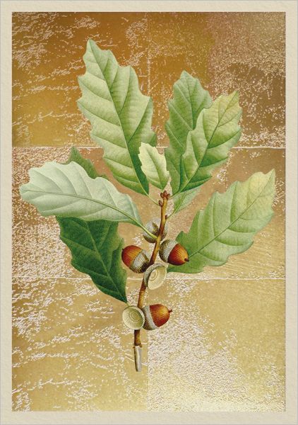 Gold Foil - Oak & Acorn Greeting Card