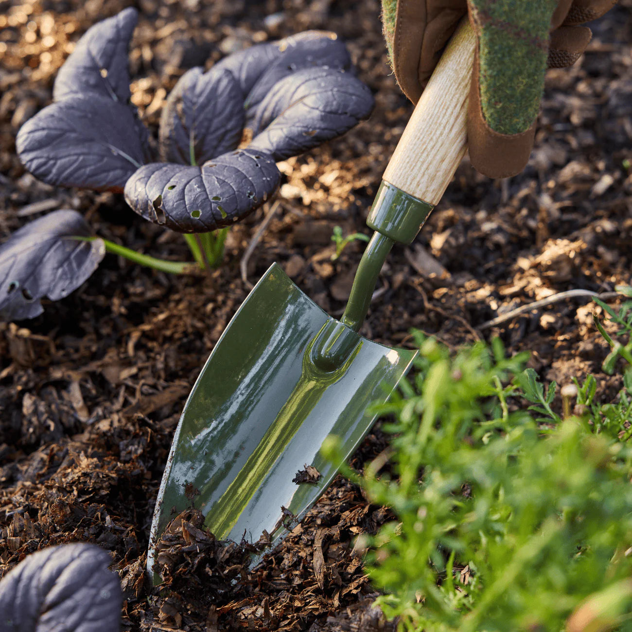 Burgon & Ball Boron Green Hand Trowel Garden Tool