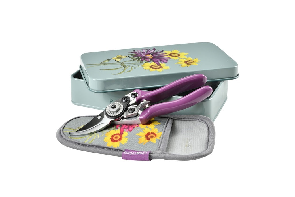 Burgon & Ball Asteraceae Collection Pruner and Holster Set