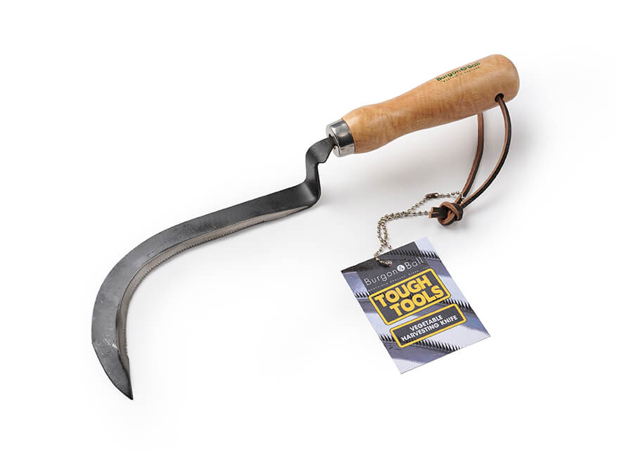 Burgon & Ball RHS Vegetable Harvesting Knife
