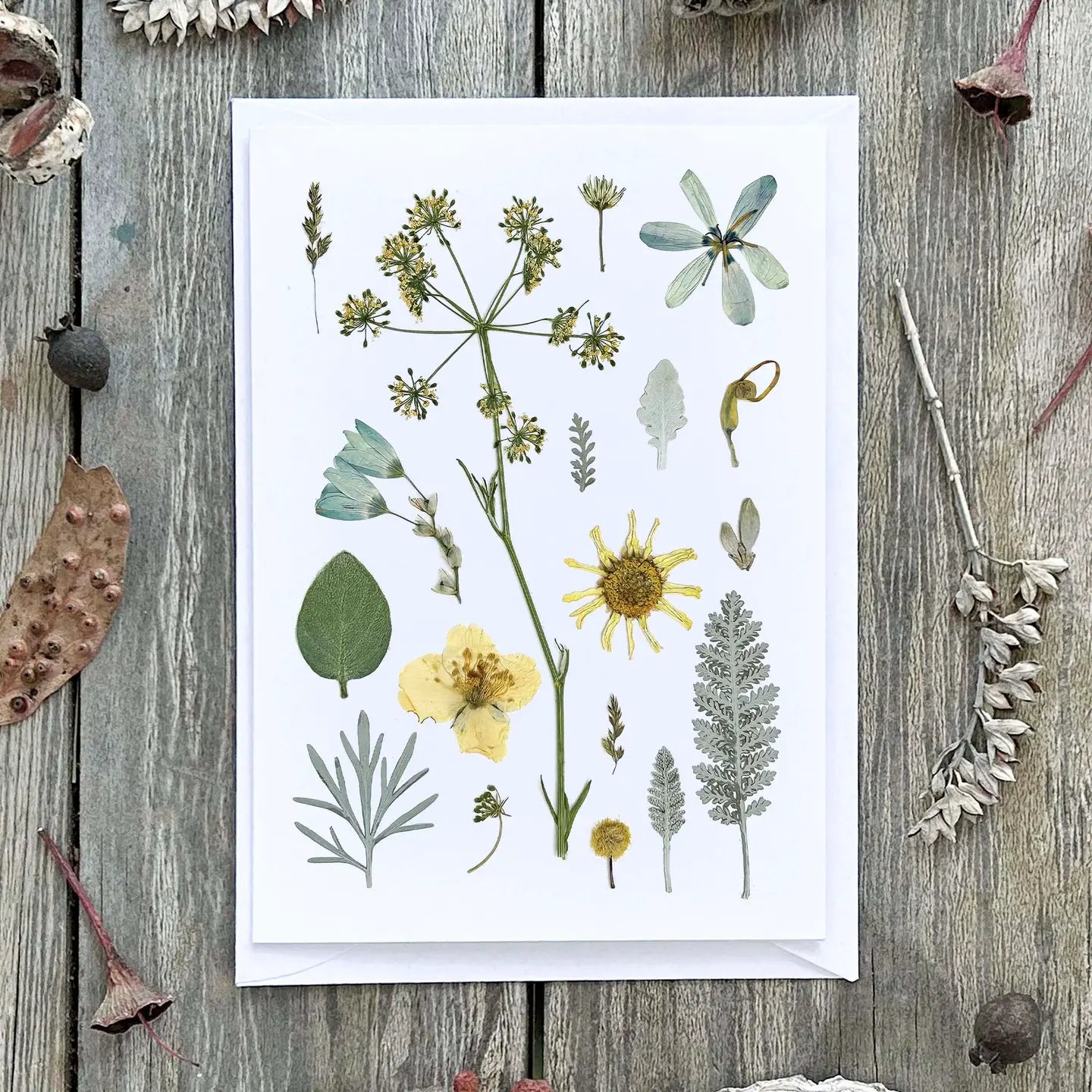 Wild Finch Studio Garden In Starlight Botanical Greeting Card