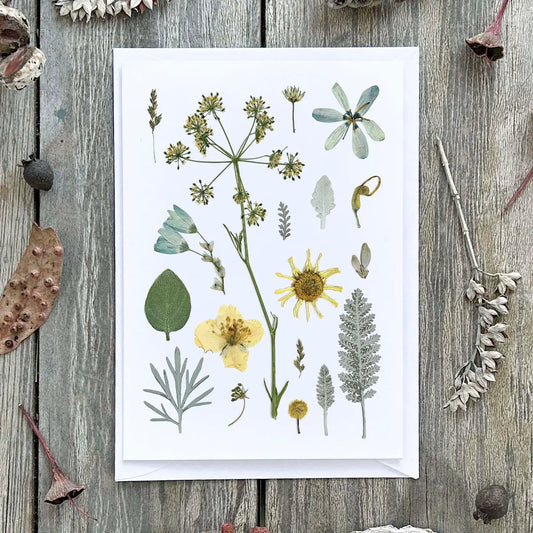 Wild Finch Studio Garden In Starlight Botanical Greeting Card