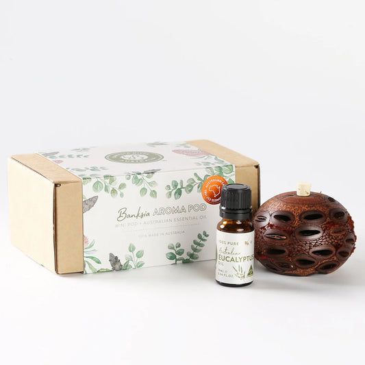 Mini Banksia Pod Eucalyptus Gift Box