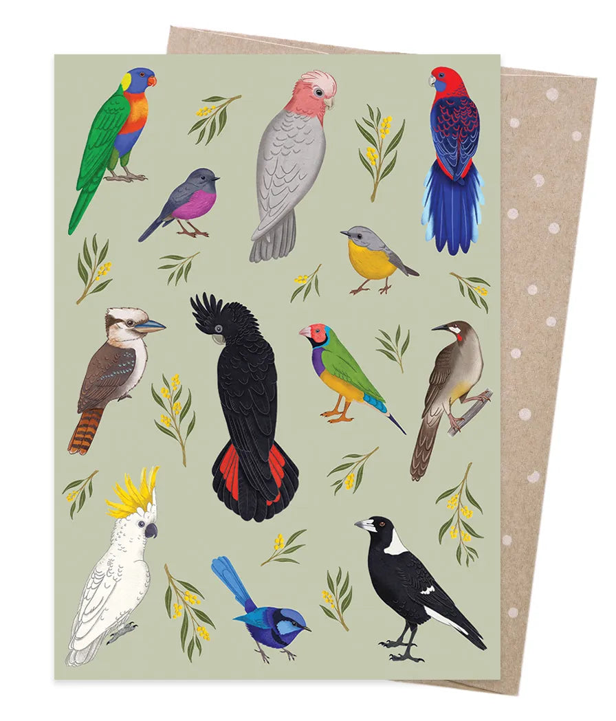 Earth Greetings Negin Maddock Iconic Birds Of Australia Greeting Card
