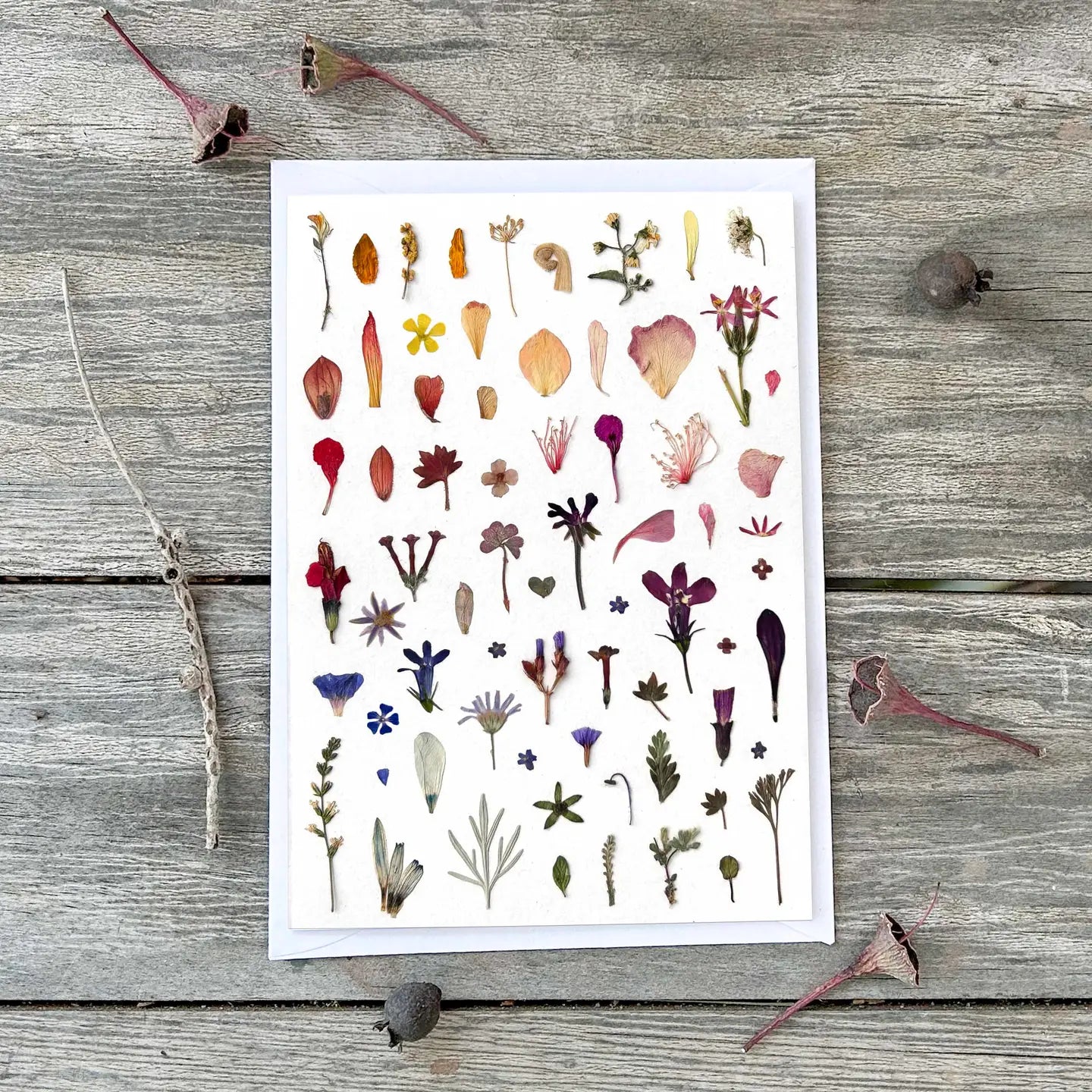 Wild Finch Studio Little Petals & Leaves Botanical Greeting Card