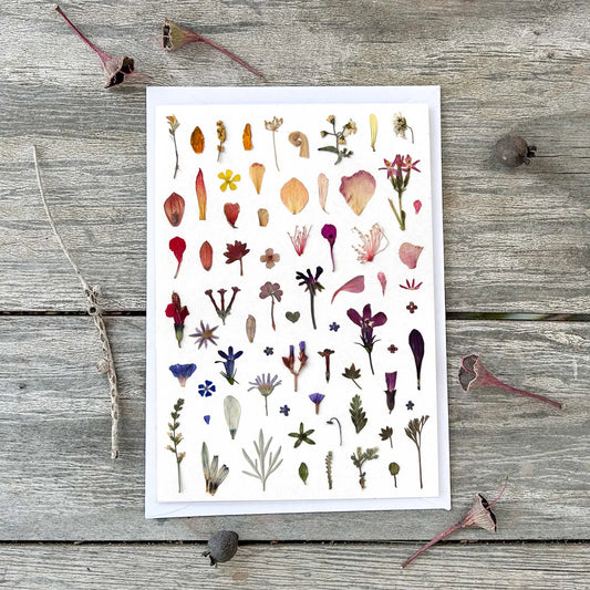 Wild Finch Studio Little Petals & Leaves Botanical Greeting Card