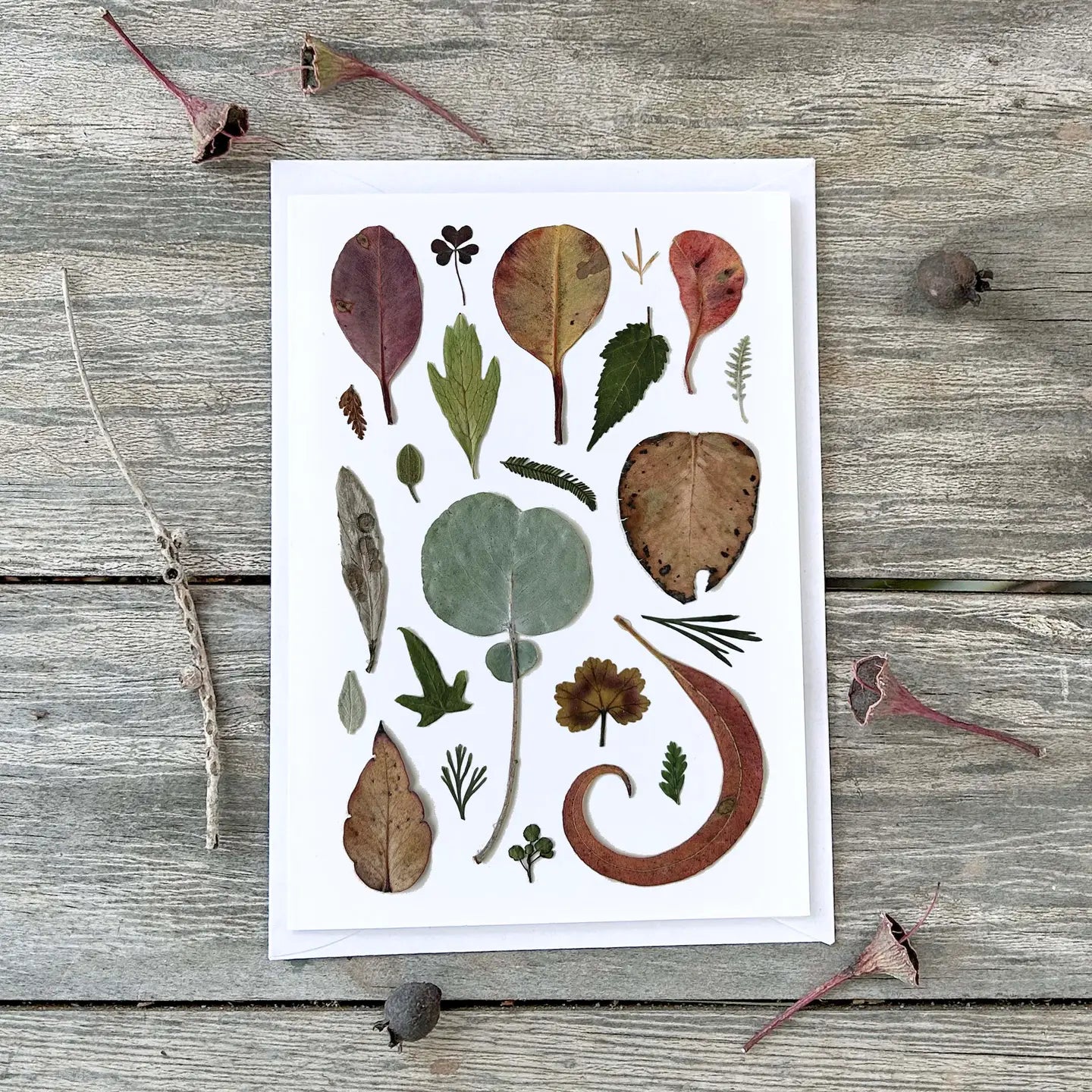Wild Finch Studio Lots Of Leaves Botanical Greeting Card