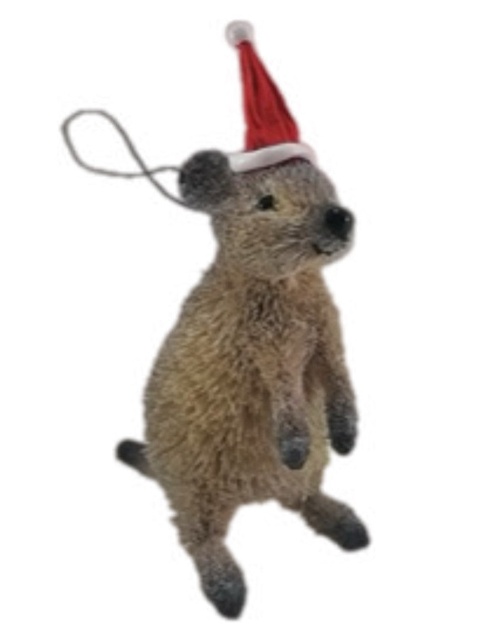 Christmas Bristlebrush Australian Animals Decoration