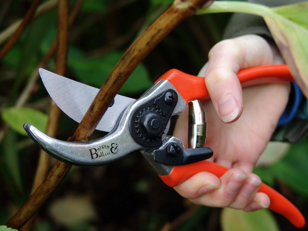 Burgon & Ball Bypass Secateurs with Spare Blade & Spring