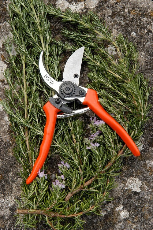 Burgon & Ball Bypass Secateurs with Spare Blade & Spring
