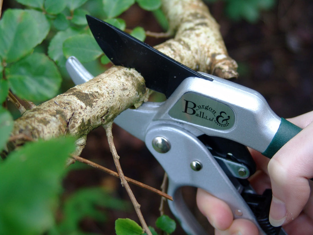 Burgon & Ball Ratchet Pruner