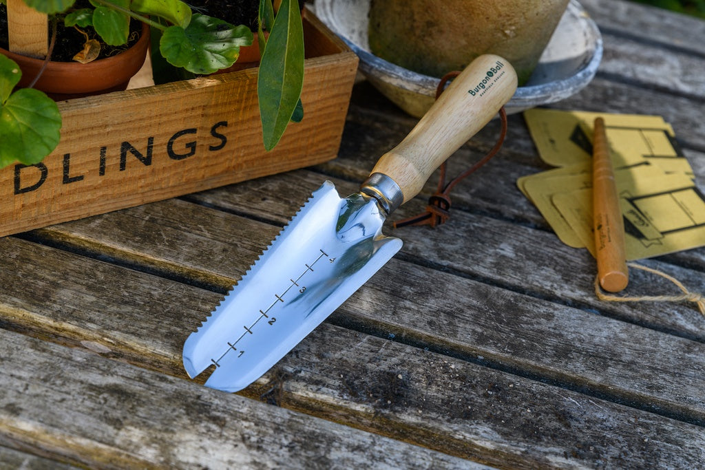 Burgon & Ball RHS Stainless Steel Weeding Trowel