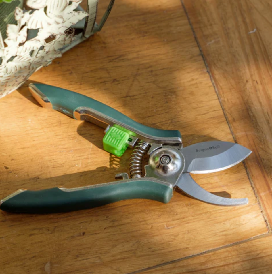 Burgon & Ball Houseplant Pruner