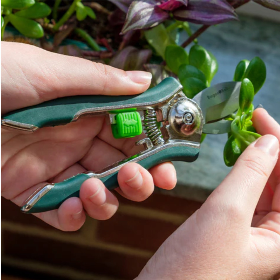 Burgon & Ball Houseplant Pruner