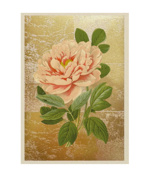 Tree Peonie Greeting Card