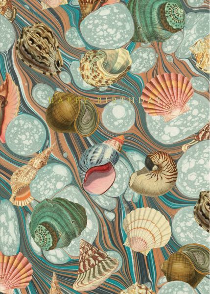 Shell Collection Birthday Greeting Card