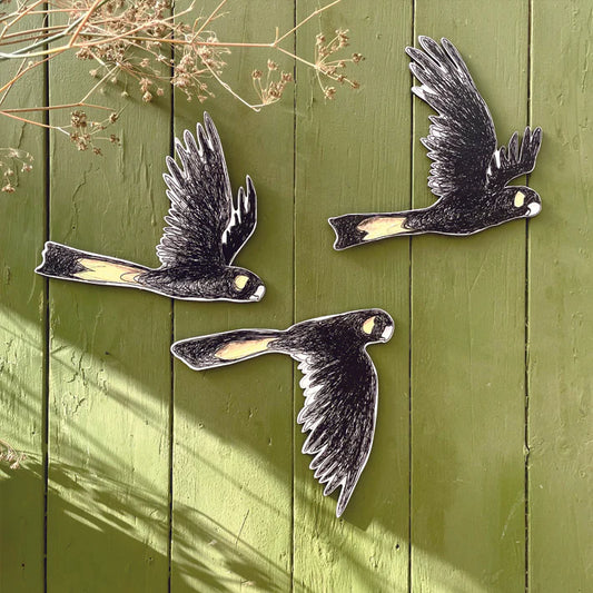 Bridget Farmer Australian Aviary Yellow-Tailed Black Cockatoos Wall Hanging Set of 3