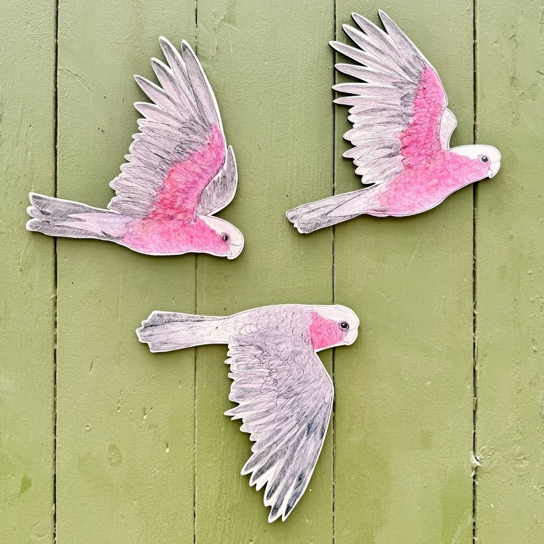 Bridget Farmer Australian Aviary Galahs Wall Hanging Set of 3