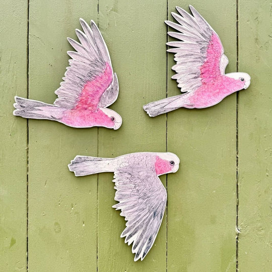 Bridget Farmer Australian Aviary Galahs Wall Hanging Set of 3