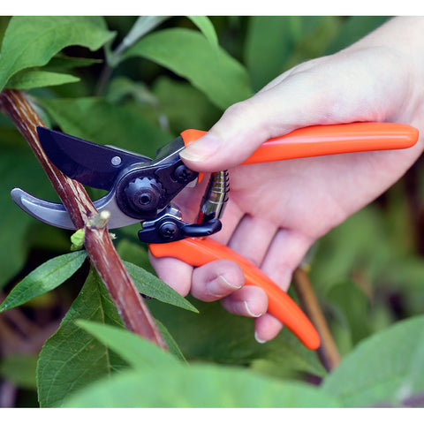 Burgon & Ball RHS Micro Secateur