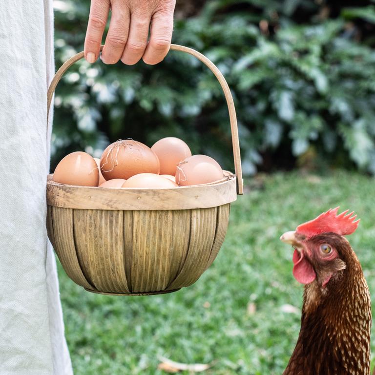 Fir Wood Handmade Bushel Baskets - Three Sizes