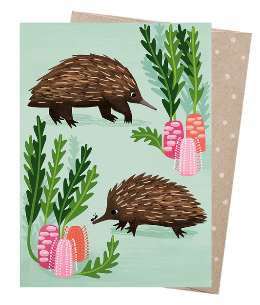 Earth Greetings Sally Allen Short-beaked Echidnas Greeting Card