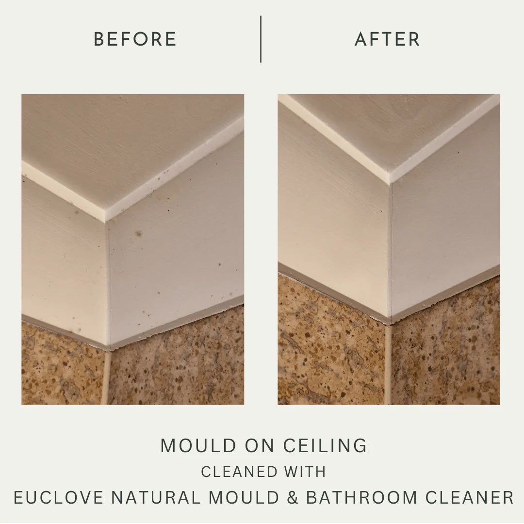 Euclove Bathroom & Mould Cleaner with Clove Oil 500ml